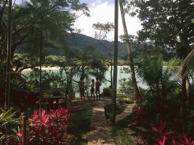 jardim