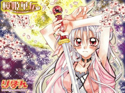 Sakura-Hime Kaden 8 jigsaw puzzle