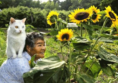 פאזל של gato y seÃ±ora