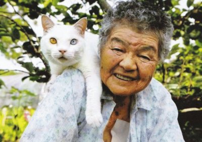 gato y seÃ±ora 2
