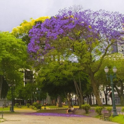 ParanÃ¡ jigsaw puzzle