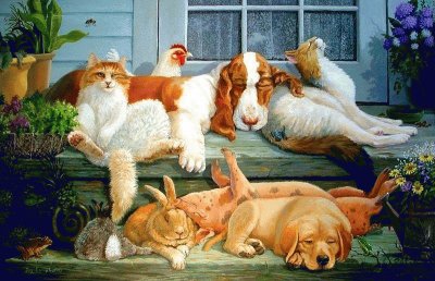 animais