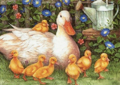 patos