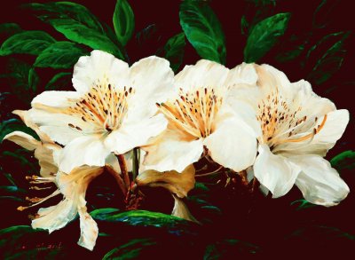 flor