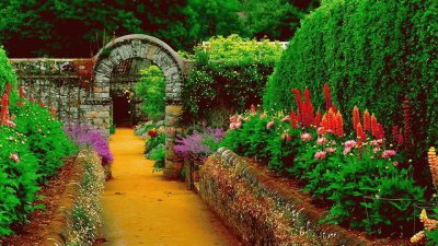 jardim