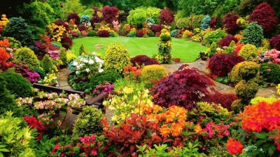 jardim