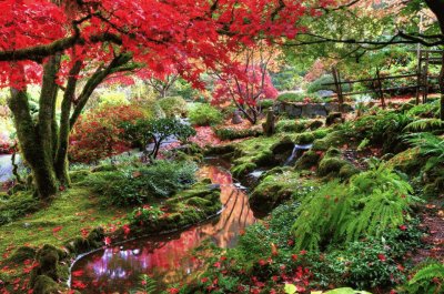 jardim