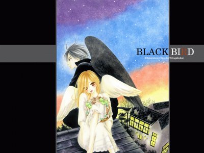 פאזל של Black Bird 8