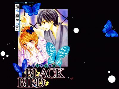 Black Bird 9