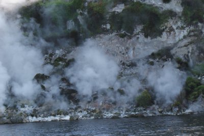 The Steaming cliffs Lake Rotomahana jigsaw puzzle