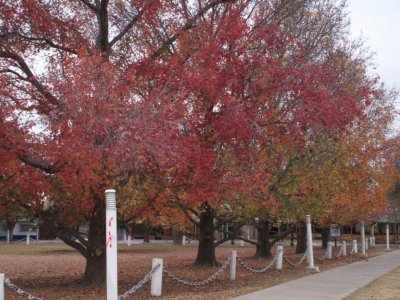 Campo de la Gloria in cloudy autumn