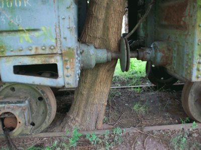 Tree grown between wagons