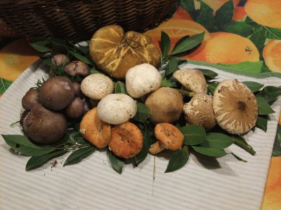 פאזל של funghi d 'autunno