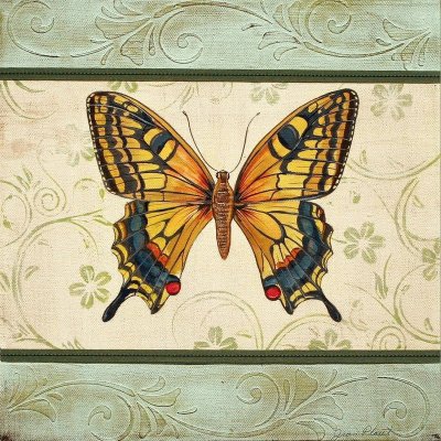 borboleta