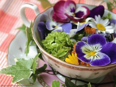 flores