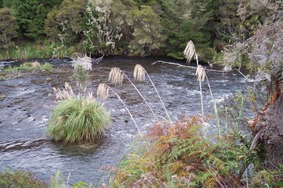 פאזל של River