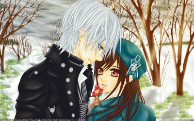 פאזל של Vampire Knight 40