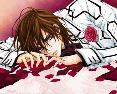 פאזל של Vampire Knight 68