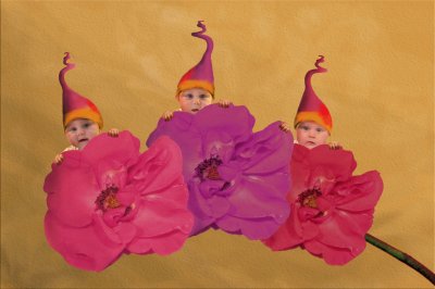 boccioli
