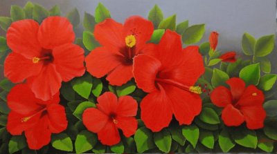 flores