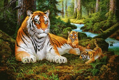 tigres