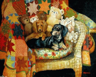 animais