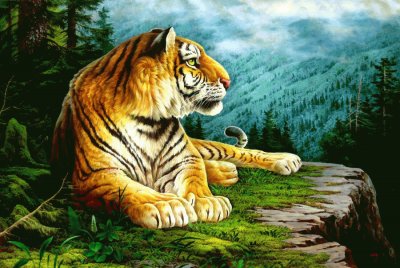 tigre