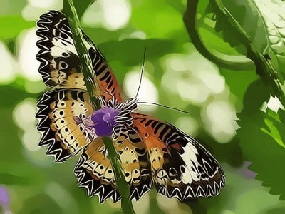borboleta