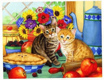 gatos