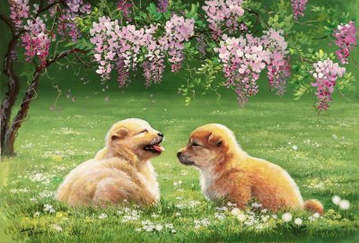 cÃ£es