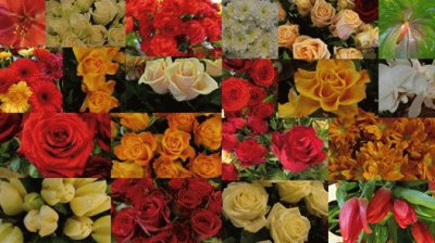 rosas