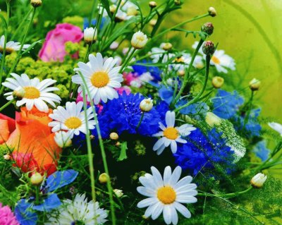 flores