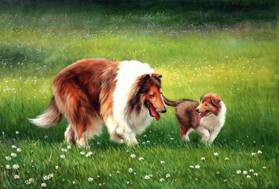 cÃ£es