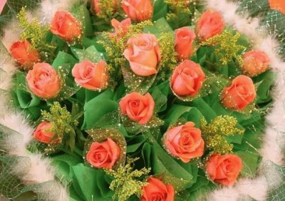 rosas