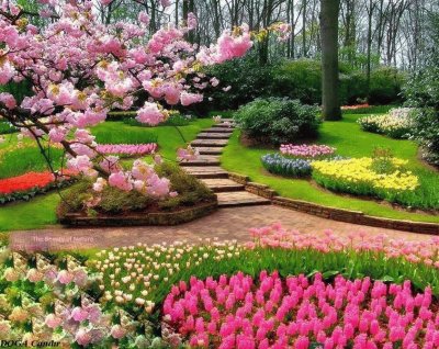 jardim