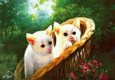 gatos