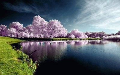 lago