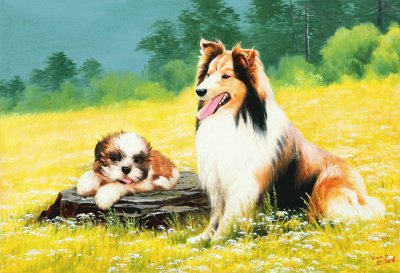 cÃ£es