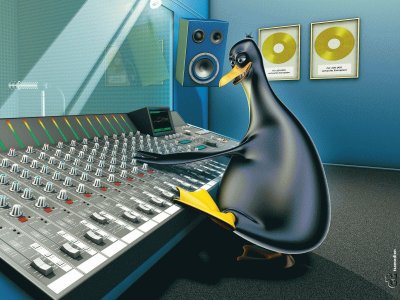 פאזל של pinguino suonatore