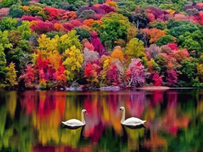 new hampshire jigsaw puzzle