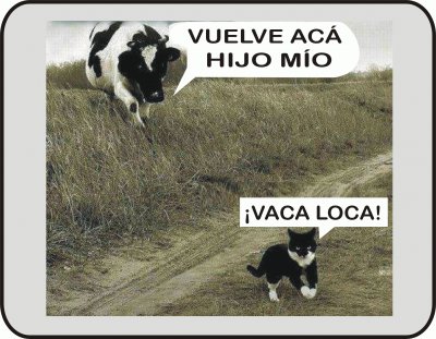 VACA LOCA. jigsaw puzzle