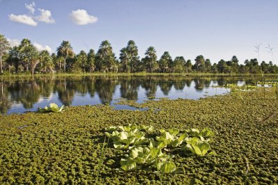 San Fernando. Chaco. Argentina jigsaw puzzle