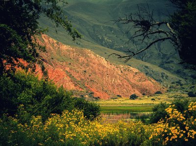 VolcÃ¡n. Jujuy. Argentina jigsaw puzzle