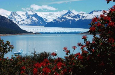 Glaciar Perito Moreno. Patagonia argentina jigsaw puzzle