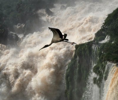 Cataratas del IguazÃº. Misiones. Argentina jigsaw puzzle