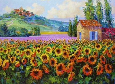 paisajes jigsaw puzzle