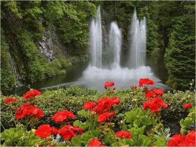 paisajes jigsaw puzzle