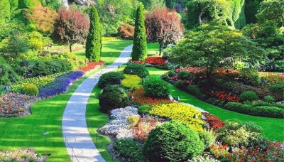 jardim