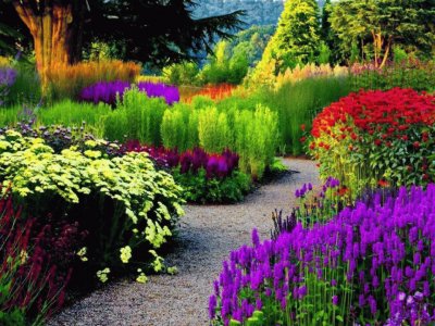 jardim