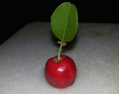 פאזל של Acerola